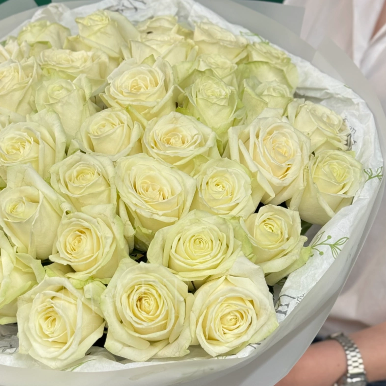 Букет из 35 белых роз