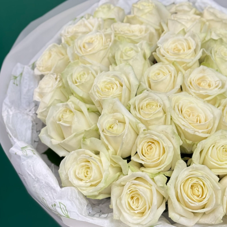 Букет из 35 белых роз