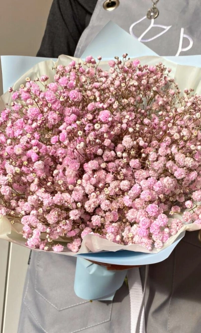 Букет Розовой Гипсофилы