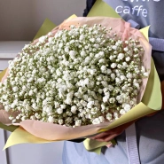 Букет Розовой Гипсофилы 2