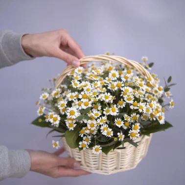 Корзина с ромашками