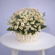 Корзина с ромашками 1