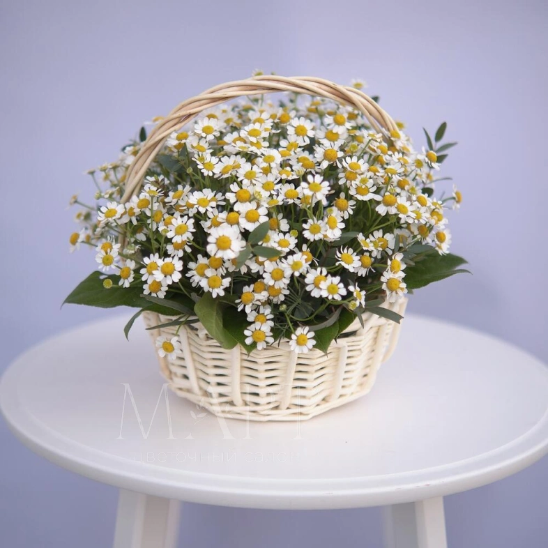 Корзина с ромашками